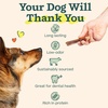 image:imageWOOF Bully Sticks Dog Treats  Chew Sticks for Dogs  LongLasting Dog Chew Treats  Made with FreeRange GrassFed Beef  6 Sticks  10pk12 Inch Pack of 5
