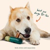 image:imageWOOF BullySafe  Bully Stick Holder  Durable Dog Chew Holder for Safe LongLasting Play  Easy to Clean  No More Swallowed Ends  for Dogs 10 lbs