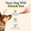 image:imageWOOF BullySafe and Bully Sticks  Nutritious Chew Sticks for Dogs and Bully Stick Holder for Safe LongLasting Play  No More Swallowed Ends  6 Sticks  5 Pack10 Count Pack of 1