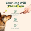 image:imageWOOF BullySafe and Bully Sticks  Nutritious Chew Sticks for Dogs and Bully Stick Holder for Safe LongLasting Play  No More Swallowed Ends  6 Sticks  5 Pack5 Count Pack of 1