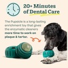image:imageWOOF Dental Kit Includes Pupsicle Dog Toy Treat Tray Shaker Bottle Chicken Pupsicle Pops and Dog Teeth Cleaning Powder  Supports Oral Health for Dogs  LargeLarge