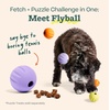 image:imageWOOF Flyball  2in1 Fetch Ball and Dog Treat Dispenser Toy  Interactive Puzzle for Enrichment  Fits Standard Ball Launchers  Durable ToothFriendly Rubber  The Perfect Dog Gift  3 Pack3PK Lavender Orange Yellow