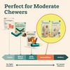 image:imageWOOF HonestChew Dog Toy Duo  Durable Dog Chews  Made with PlantBased Ingredients  SplinterResistant  Safer Than Dog Bones  with HonestChew Antler and Infinity  Gift for Dogs  LargeAntler