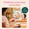 image:imageWOOF Pupsicle  LongLasting Interactive Dog Ball Toy to Keep Your Pup Busy and Distracted  Safe for Dogs  LowMess Design  Dog Toys for XL Dogs 75 lbs and UpPink