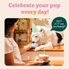 image:imageWOOF Pupsicle  LongLasting Interactive Dog Ball Toy to Keep Your Pup Busy and Distracted  Safe for Dogs  LowMess Design  Dog Toys for XL Dogs 75 lbs and UpBlue