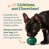 image:imageWOOF Pupsicle  LongLasting Interactive Dog Ball Toy to Keep Your Pup Busy and Distracted  Safe for Dogs  LowMess Design  Dog Toys for XL Dogs 75 lbs and UpPink