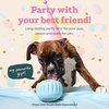 image:imageWOOF Pupsicle  LongLasting Interactive Dog Ball Toy to Keep Your Pup Busy and Distracted  Safe for Dogs  LowMess Design  Dog Toys for XL Dogs 75 lbs and UpBlue