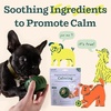 image:imageWOOF Pupsicle Calming Starter Kit  Pupsicle and Calming Pops Bundle  LongLasting Interactive Dog Toy  7 Refills with Thiamine Tryptophan Passion Flower for Medium and Large Dogs 2575 lbs