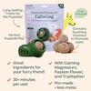 image:imageWOOF Pupsicle Calming Starter Kit  Pupsicle and Calming Pops Bundle  LongLasting Interactive Dog Toy LowMess Design  5 Refills with Thiamine Tryptophan Passion Flower for XL Dogs 75 lbs and U