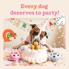 image:imageWOOF Pupsicle Refill Pops  LowMess Dog Snacks  with Peanut Butter and Beef  Dog Treats  Long Lasting  Small Pops  10 CountBirthday