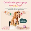 image:imageWOOF Pupsicle Refill Pops  LowMess Dog Snacks  with Peanut Butter and Beef  Dog Treats  Long Lasting  Small Pops  10 CountBirthday