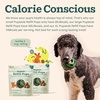 image:imageWOOF Pupsicle Refill Pops  LowMess Dog Snacks  with Peanut Butter and Beef  Dog Treats  Long Lasting  Small Pops  10 CountChicken