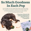 image:imageWOOF Pupsicle Refill Pops for Calming  LongLasting Refills for The Pupsicle Toy to Promote Calm  Calming Dog Treats  Magnesium for Dogs Large Pops  7 CountSmall 10 Count