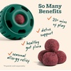 image:imageWOOF Pupsicle Refill Pops for Calming  LongLasting Refills for The Pupsicle Toy to Promote Calm  Calming Dog Treats  Magnesium for Dogs Large Pops  7 CountSmall 10 Count