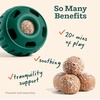 image:imageWOOF Pupsicle Refill Pops for Calming  LongLasting Refills for The Pupsicle Toy to Promote Calm  Calming Dog Treats  Magnesium for Dogs Large Pops  7 CountLarge 14 Count