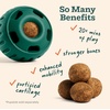 image:imageWOOF Pupsicle Refill Pops for Calming  LongLasting Refills for The Pupsicle Toy to Promote Calm  Calming Dog Treats  Magnesium for Dogs Large Pops  7 CountLarge 7 Count