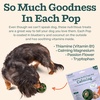 image:imageWOOF Pupsicle Refill Pops for Calming  LongLasting Refills for The Pupsicle Toy to Promote Calm  Calming Dog Treats  Magnesium for Dogs Large Pops  7 CountLarge 7 Count