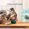 image:imageWOOF Pupsicle Refill Pops for Calming  LongLasting Refills for The Pupsicle Toy to Promote Calm  Calming Dog Treats  Magnesium for Dogs Large Pops  7 CountSmall 20 Count