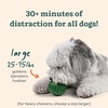 image:imageWOOF Pupsicle and Treat Tray  LongLasting Interactive Dog Ball Toy and Silicone Dog Treat Mold  Keep Your Pup Busy  Easy to Clean  Dog Toys for Small Dogs 1025 lbsLarge Pupsicle  Large Treat Tray