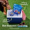 image:imageWOOF Refill BBQ Pops amp Summer Pupsicle Favorite Distraction GrainFree Smokey Beef Flavor Lickable Dog Treats  XL Pops for Dogs Over 75 lbs  5 CountExtra Large