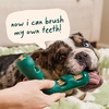 image:imageWOOF The Bite n Brush  Dog Toothbrush Toy  Scrub Plaque and Tartar from Your Dogs Teeth and Mouth  Dog Dental Toy for Gentle Chewers  LargeLarge