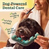 image:imageWOOF The Bite n Brush  Dog Toothbrush Toy  Scrub Plaque and Tartar from Your Dogs Teeth and Mouth  Dog Dental Toy for Gentle Chewers  LargeLarge