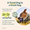image:imageWOOF Walkabout  Enrichment Dog Toys Puzzle and Treat Dispenser  Adjustable Difficulty for Kibble and Treats  Durable Rubber  Easy to Clean  LargeLarge Green