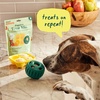 image:imageWoof Doggy Dental Pupsicle Mix  Dog Teeth Cleaning Powder for the Pupsicle  Long Lasting Postbiotic Dental Enzyme Mix to Support Oral Health for DogsBacon  Cheese
