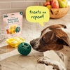 image:imageWoof Doggy Dental Pupsicle Mix  Dog Teeth Cleaning Powder for the Pupsicle  Long Lasting Postbiotic Dental Enzyme Mix to Support Oral Health for DogsBalanced Belly