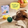 image:imageWoof Doggy Dental Pupsicle Mix  Dog Teeth Cleaning Powder for the Pupsicle  Long Lasting Postbiotic Dental Enzyme Mix to Support Oral Health for DogsCalming Support