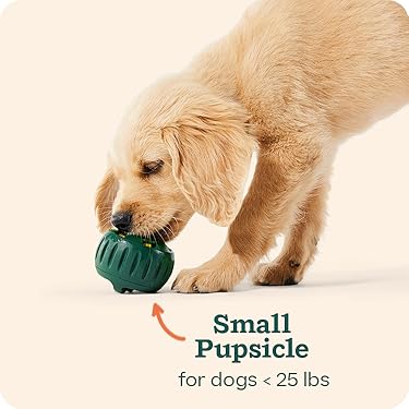 Woof | Interactive Dog Toys & Treats,Smarter Play for Dogs