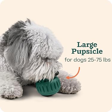 Woof | Interactive Dog Toys & Treats,Smarter Play for Dogs