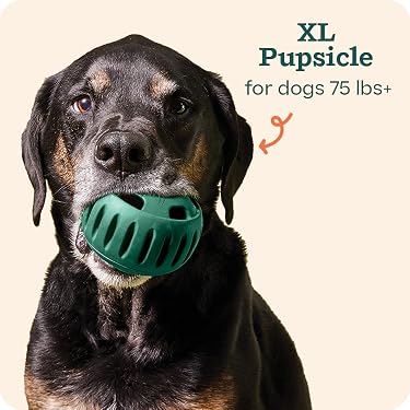 Woof | Interactive Dog Toys & Treats,Smarter Play for Dogs