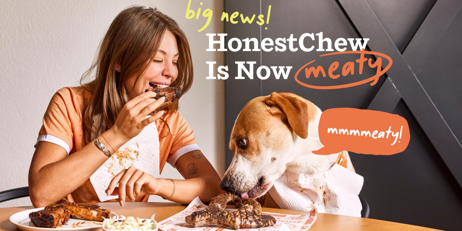Woof | Interactive Dog Toys & Treats,Smarter Play for Dogs