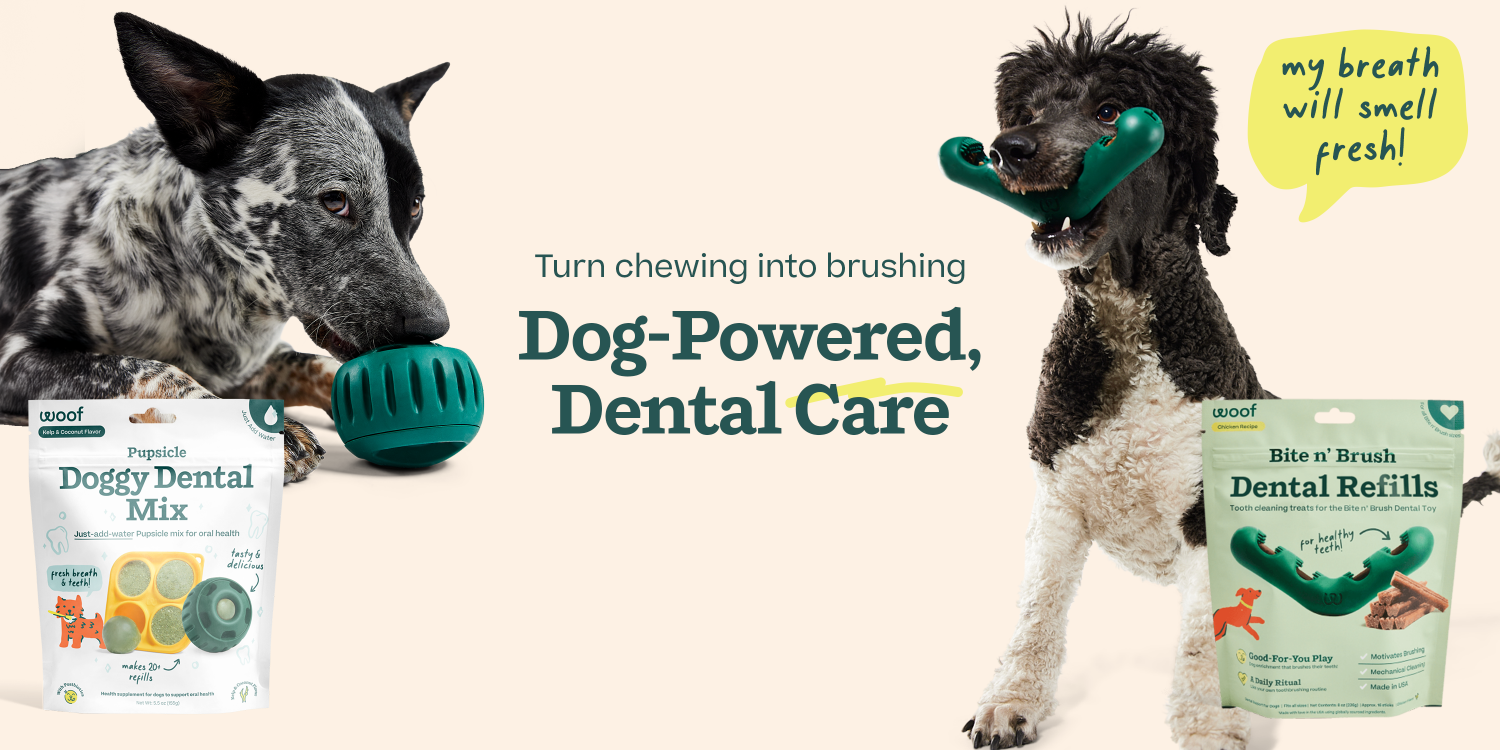 Woof | Interactive Dog Toys & Treats,Smarter Play for Dogs