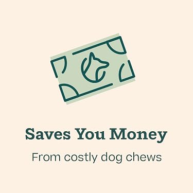 Woof | Interactive Dog Toys & Treats,Smarter Play for Dogs