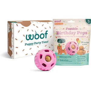 image:imageWOOF Pupsicle Party Pack  Small Pink Pupsicle  Small Birthday Pop BundlePink