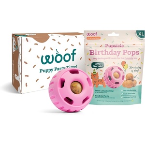 image:imageWOOF Pupsicle Party Pack  Extra Large Party Pink Pupsicle  Extra Large Birthday Pops Bundle