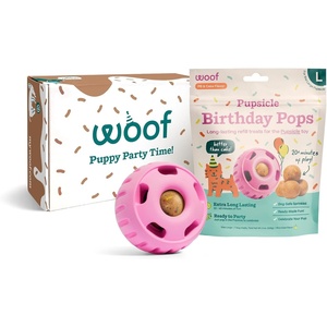 image:imageWOOF Pupsicle Party Pack  Large Party Pink Pupsicle  Large Birthday Pops Bundle
